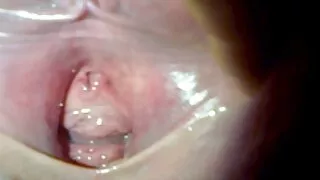 ஆவர் நீரோ அம்மா சான் செக்ஸ் xxx கருப்பு மற்றும் போலந்து சேவல்.