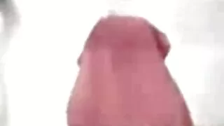 என் அம்மா மற்றும் சன் செக்ஸி வீடியோ சசி காத் பிளாக்கா